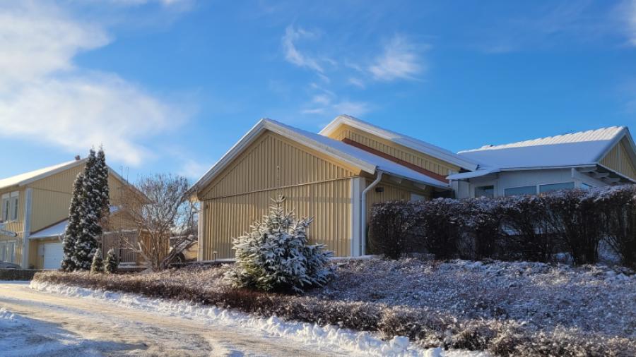 Parhus trea