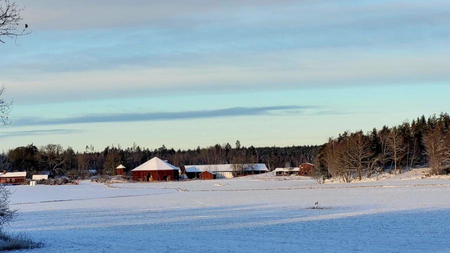 Droppsta gård