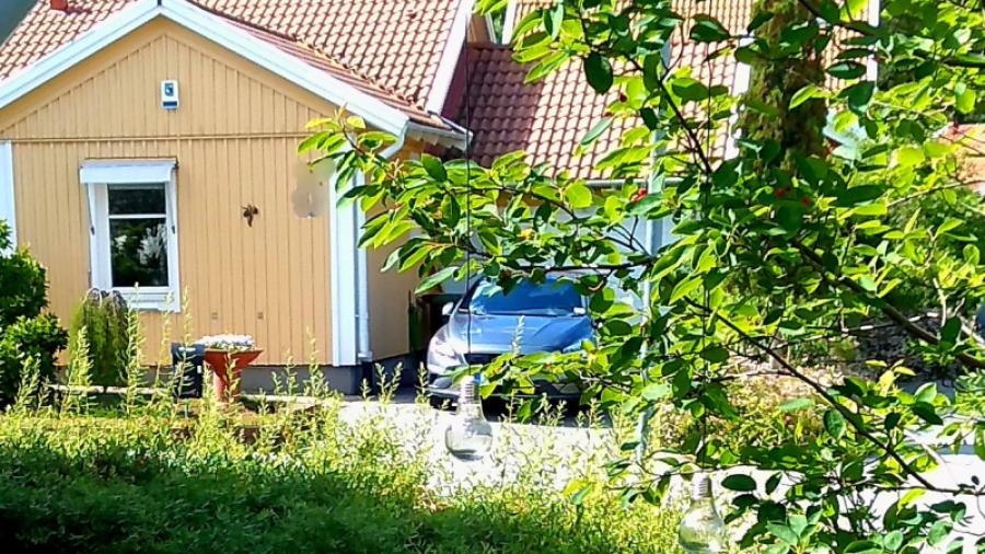 Fristående trea