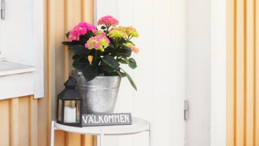 Välkommen